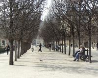 Jardins du Palais Royal 